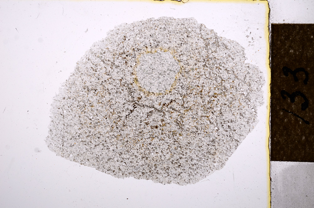 Plane Polarized, E13382