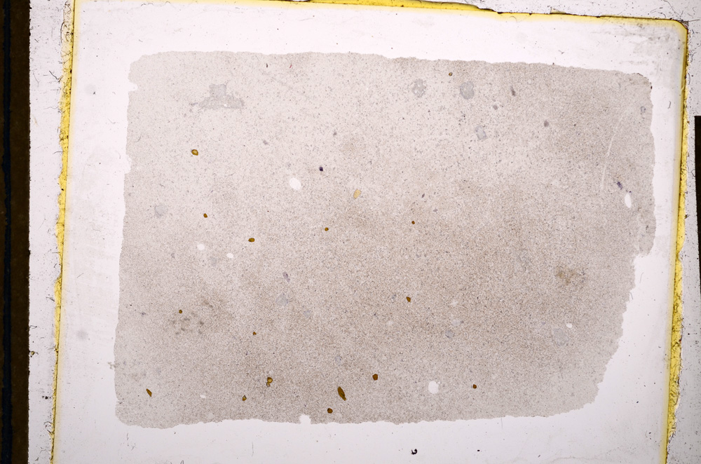 Plane Polarized, E13400