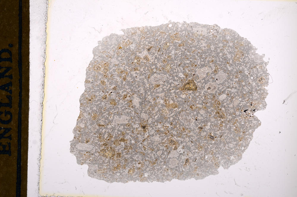 Plane Polarized, E13407