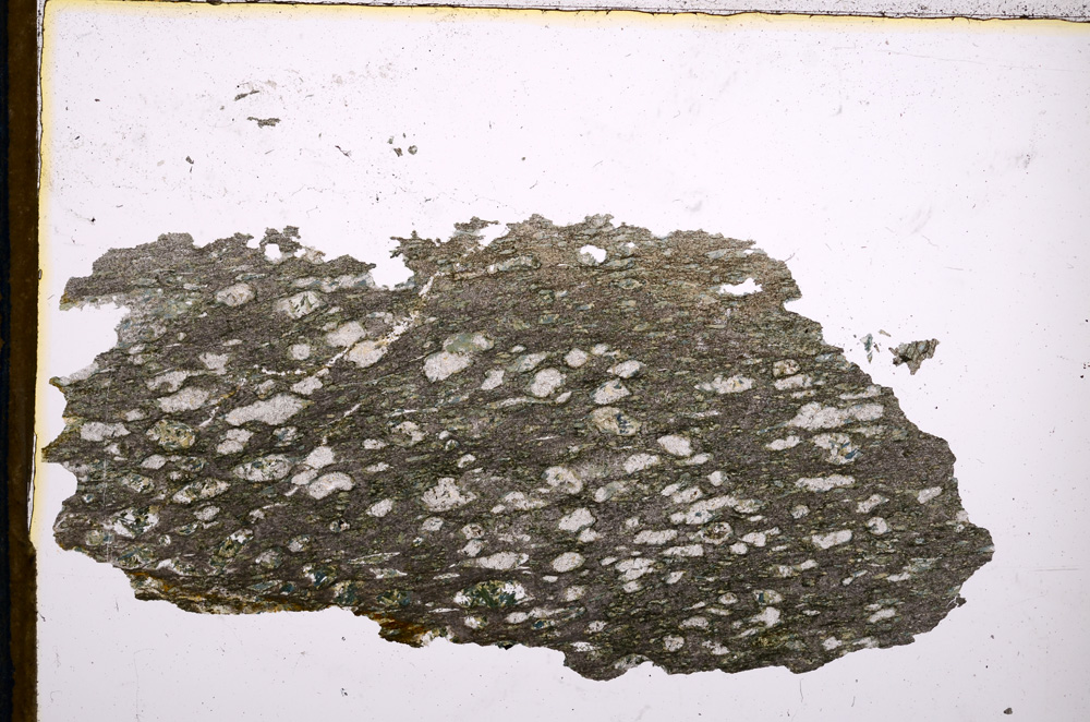 Plane Polarized, E13441