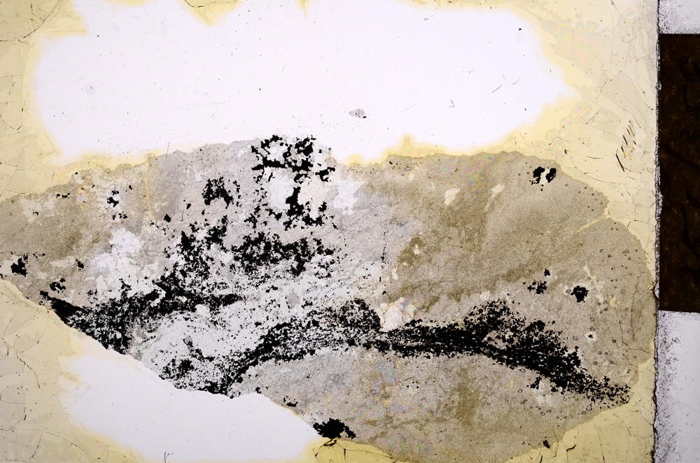 Plane Polarized, E13459