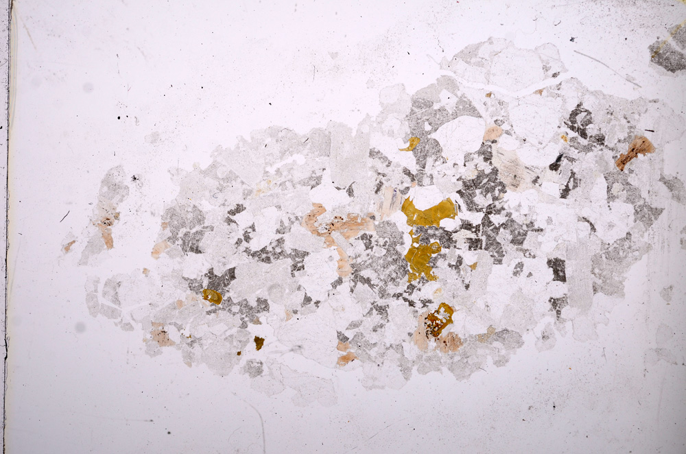 Plane Polarized, E13464