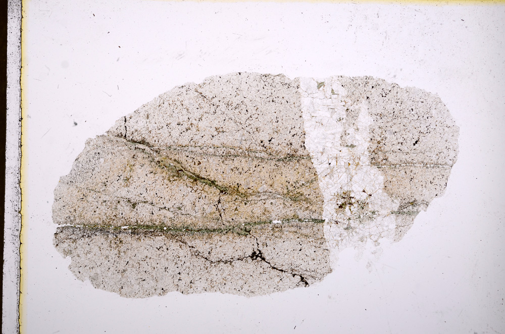 Plane Polarized, E13471