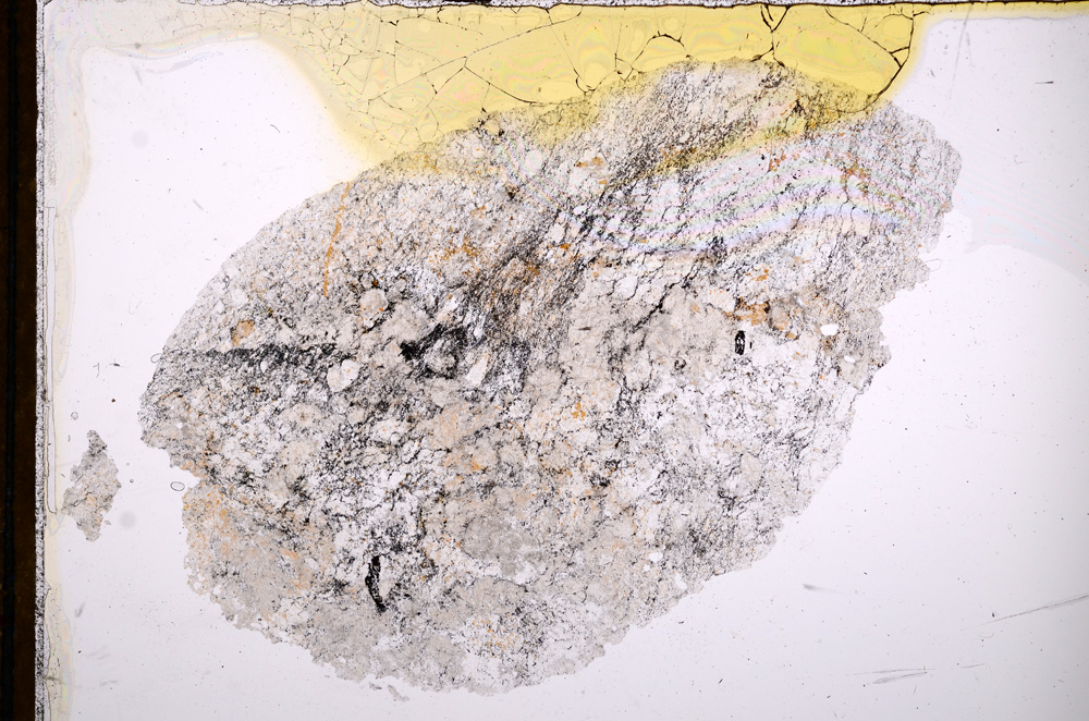 Plane Polarized, E13481/A