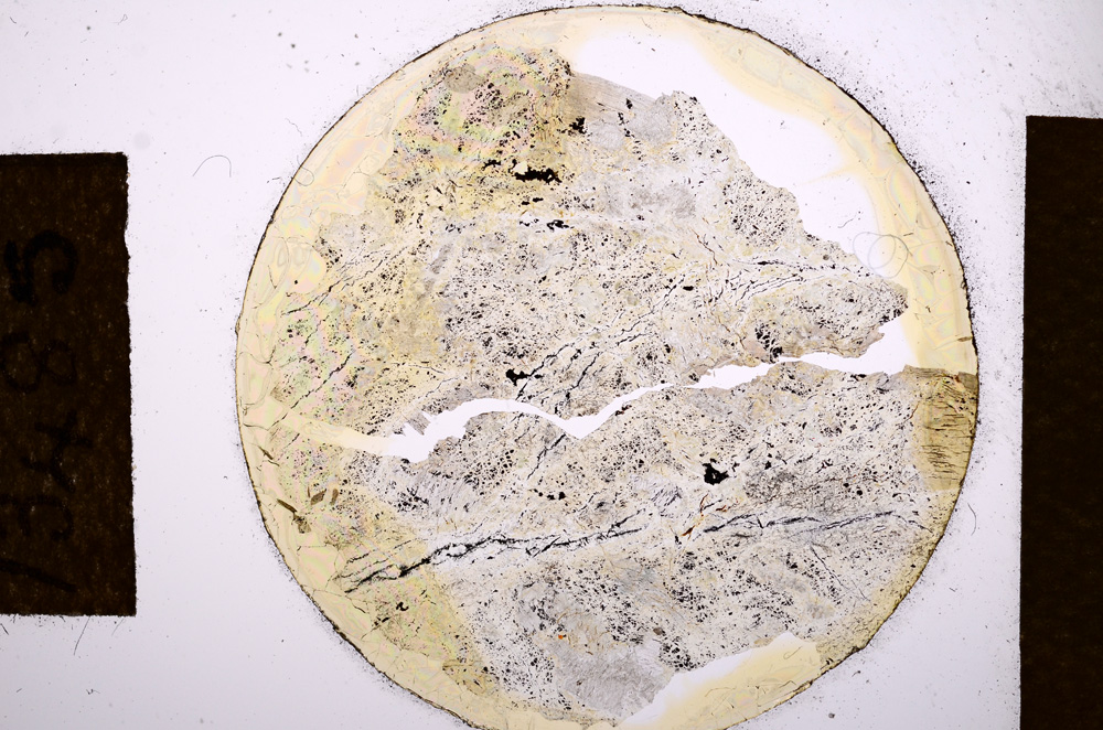 Plane Polarized, E13485