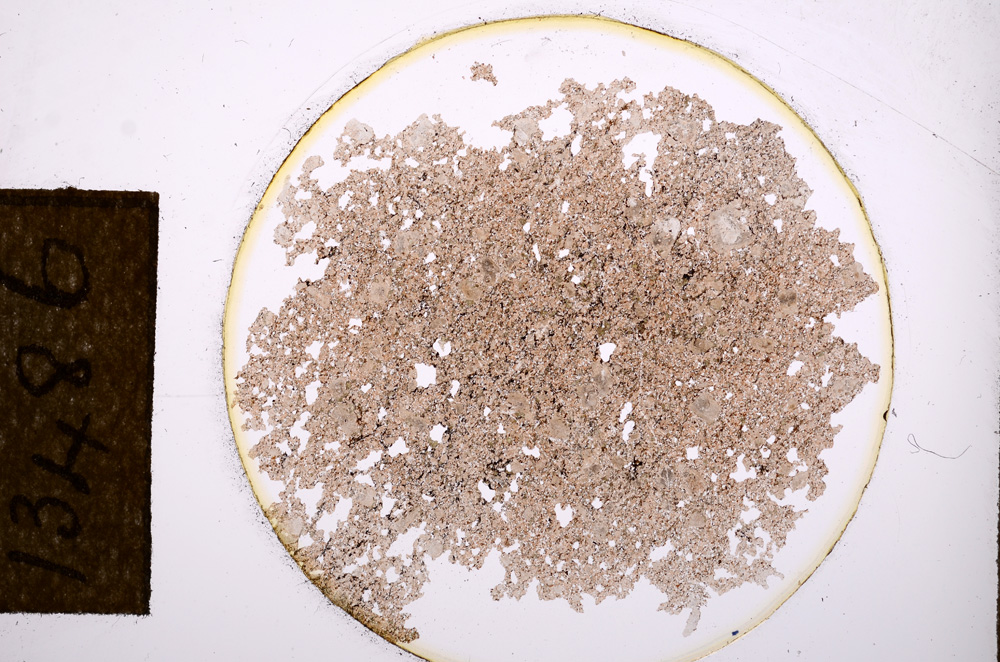 Plane Polarized, E13486