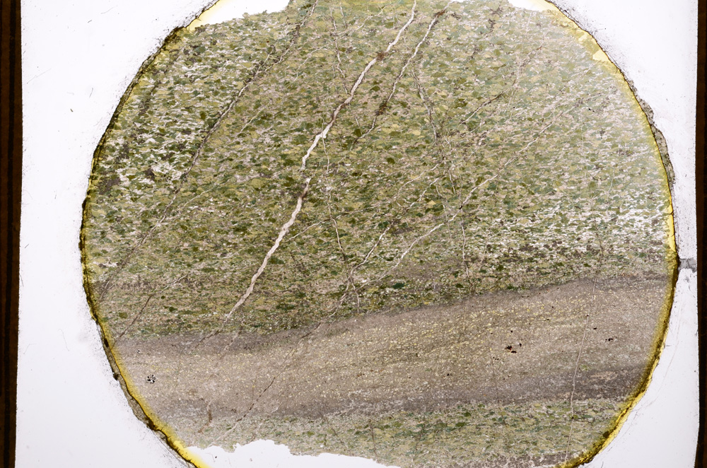 Plane Polarized, E13488