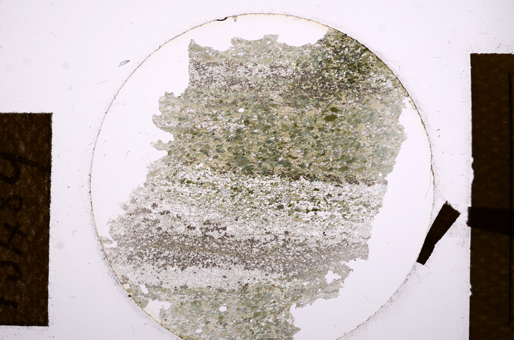 Plane Polarized, E13489