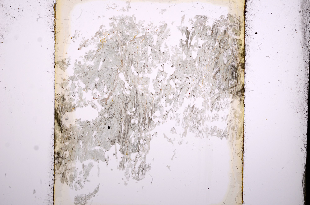 Plane Polarized, E13495