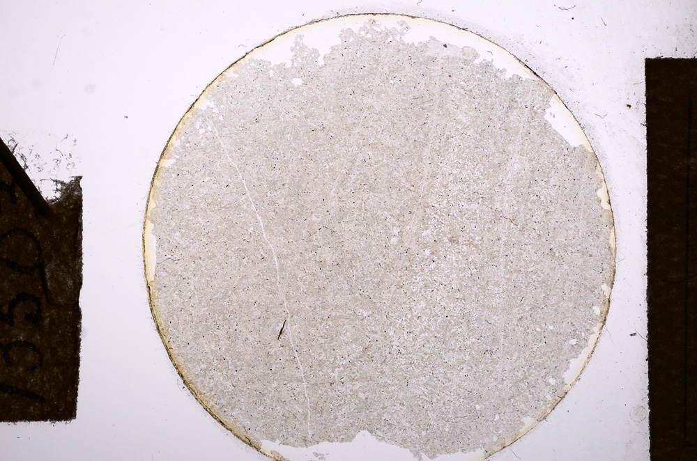 Plane Polarized, E13503