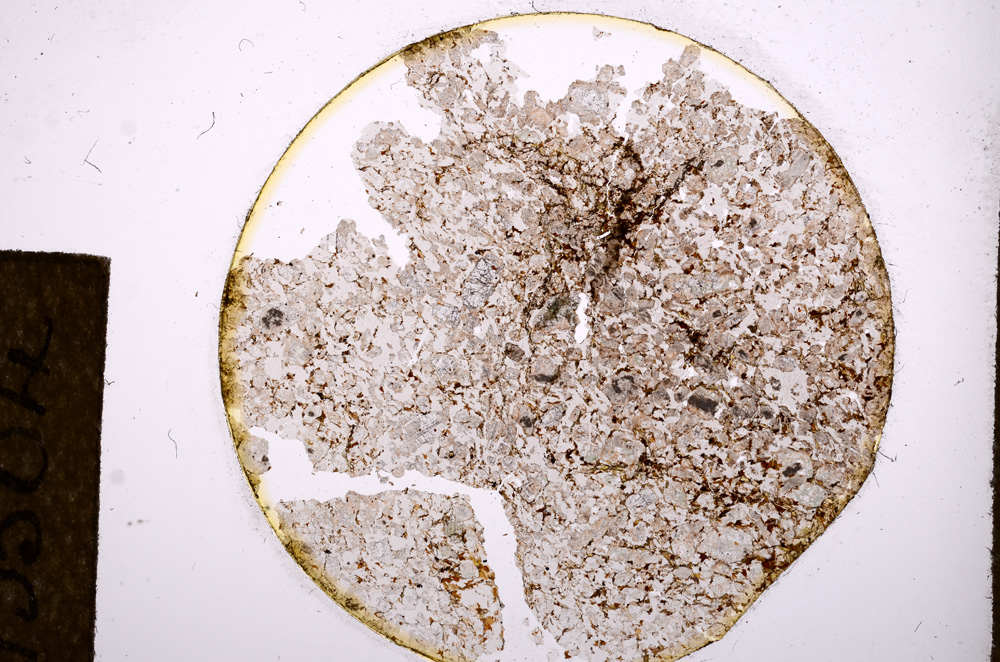 Plane Polarized, E13504