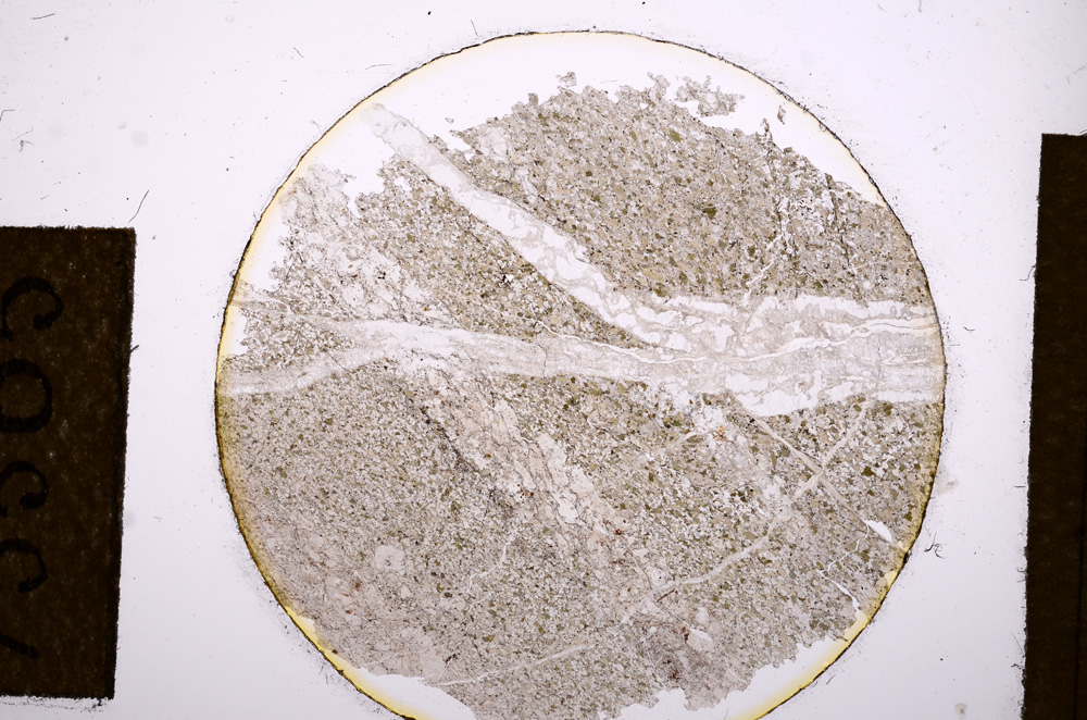 Plane Polarized, E13505