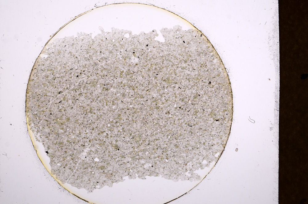 Plane Polarized, E13506