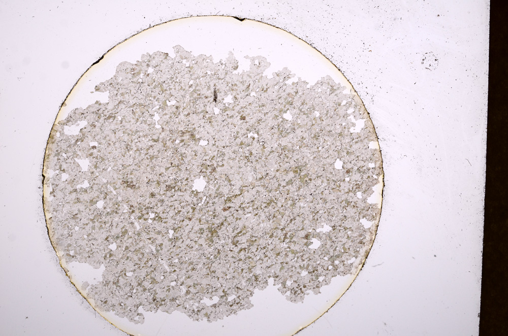 Plane Polarized, E13507