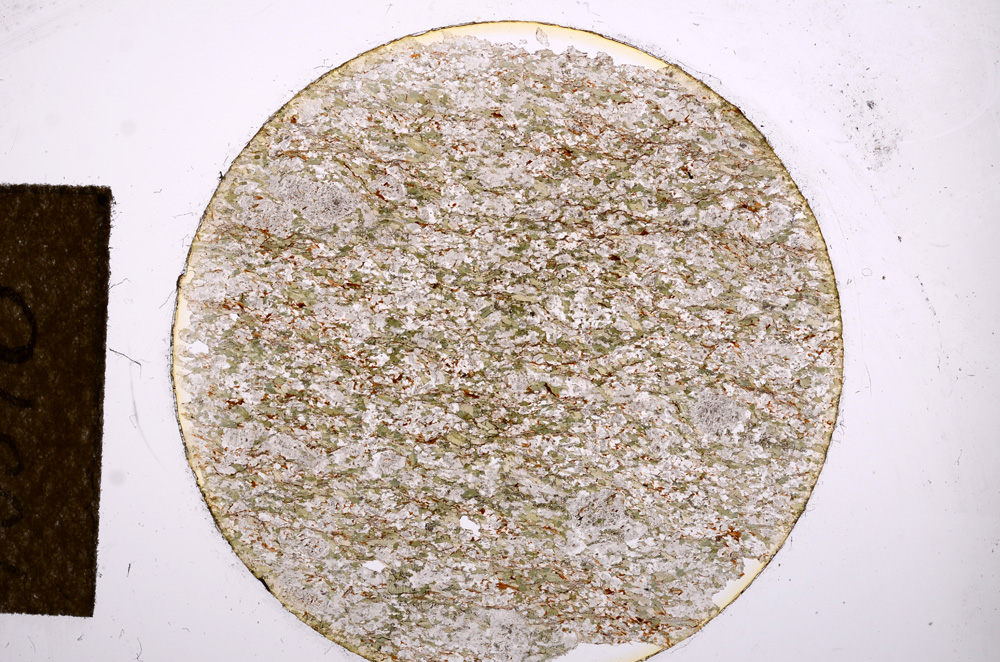 Plane Polarized, E13510