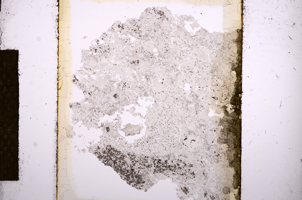 Plane Polarized, E13511