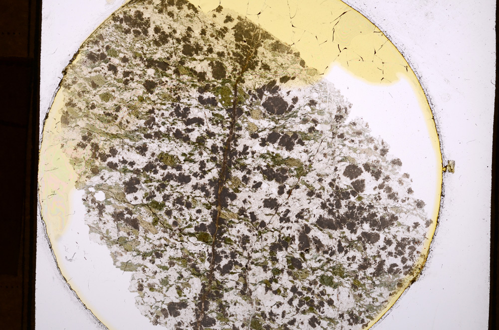 Plane Polarized, E13537