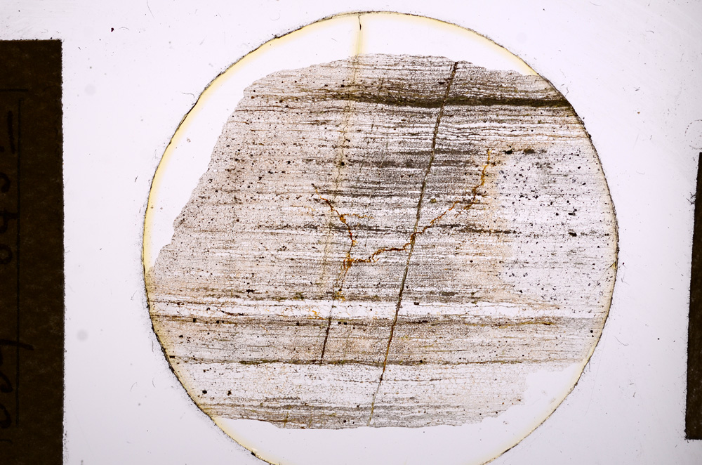 Plane Polarized, E13542