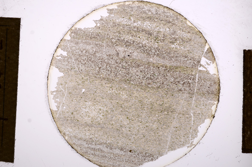 Plane Polarized, E13547
