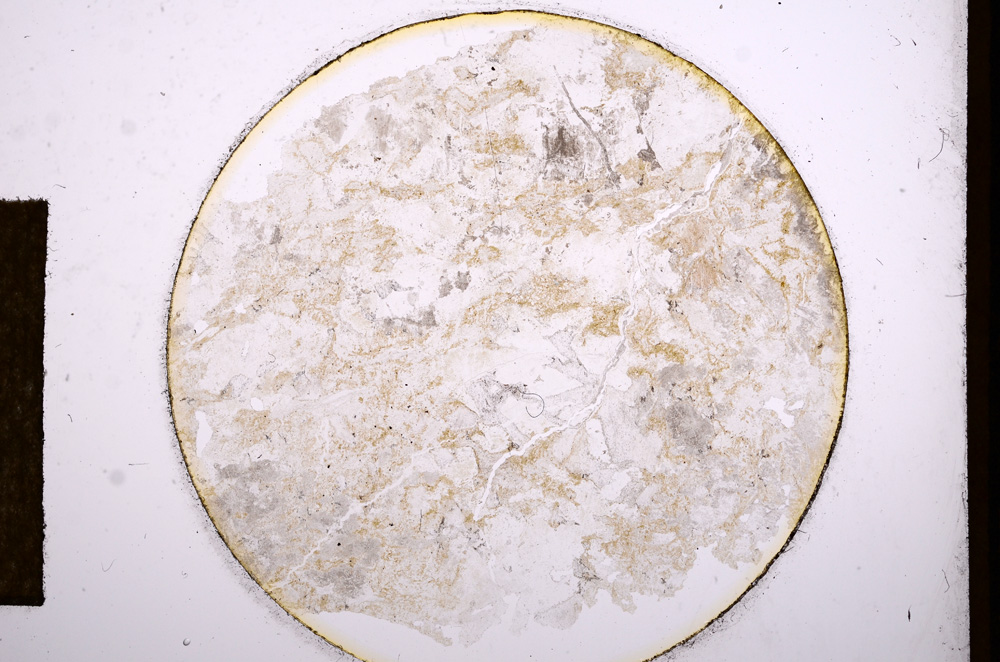 Plane Polarized, E13554