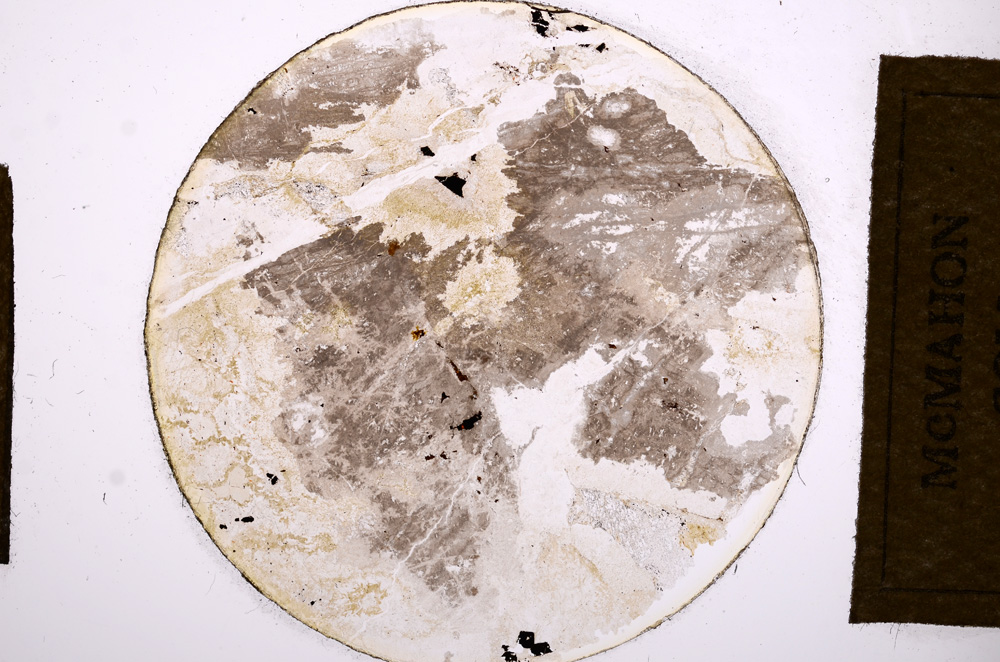 Plane Polarized, E13555