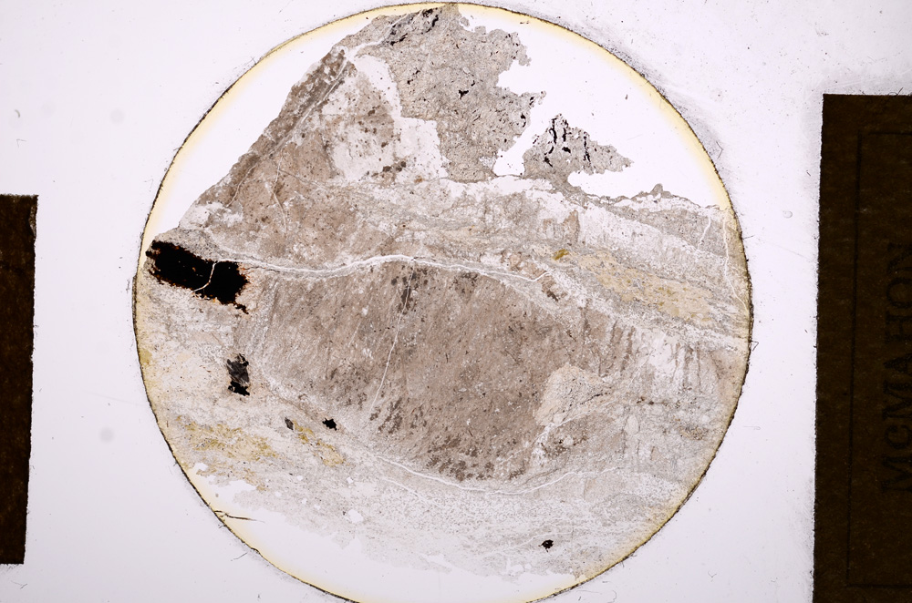 Plane Polarized, E13557