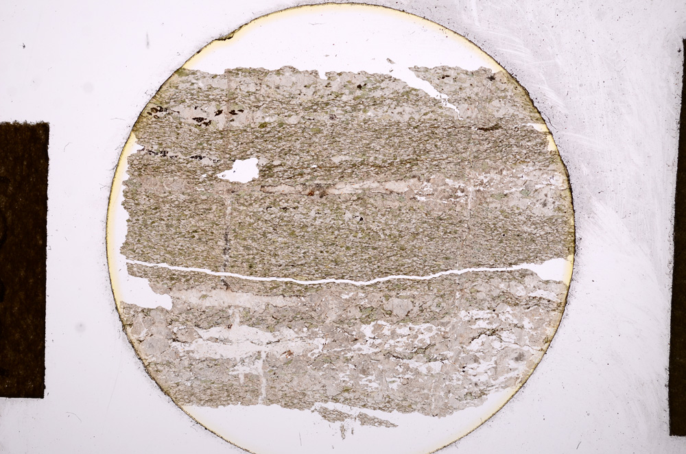 Plane Polarized, E13561