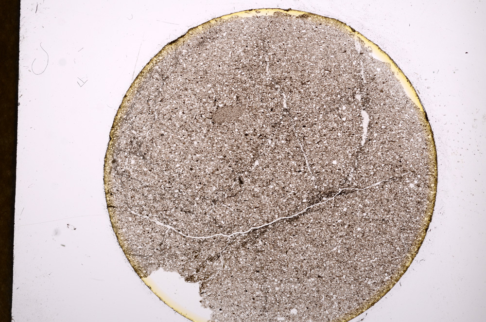 Plane Polarized, E13593