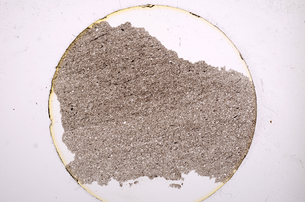 Plane Polarized, E13594