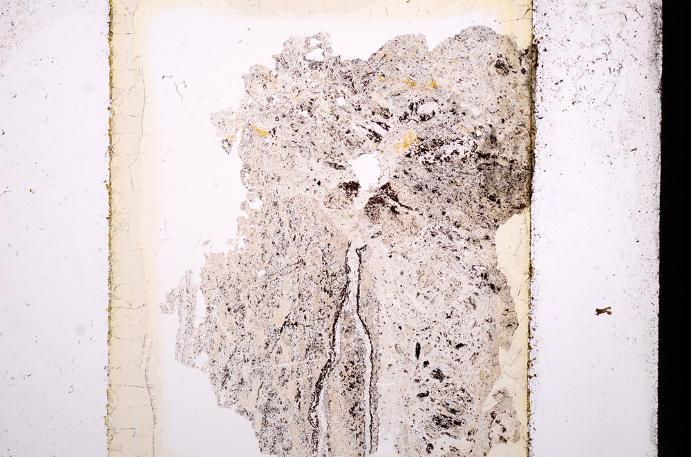 Plane Polarized, E13599