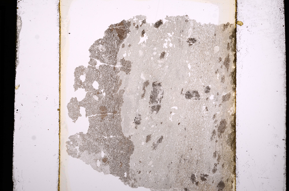 Plane Polarized, E13609