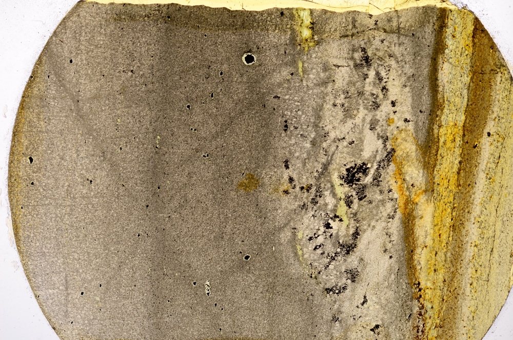 Plane Polarized, E13611