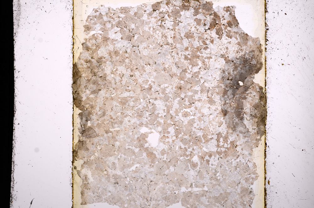 Plane Polarized, E13613