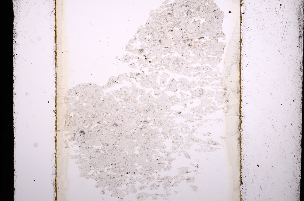 Plane Polarized, E13614