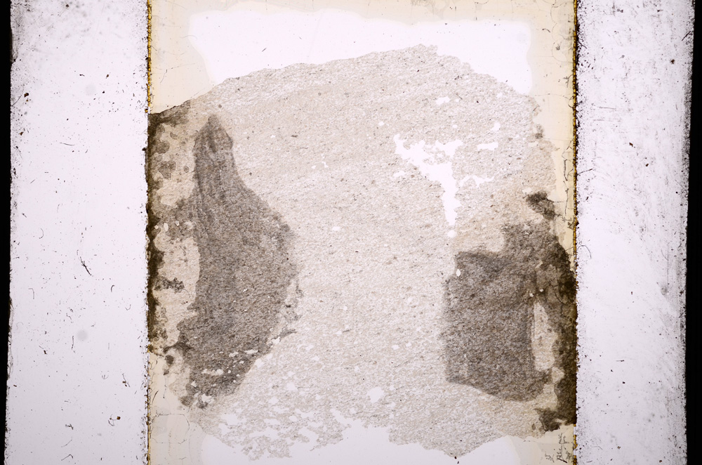 Plane Polarized, E13617