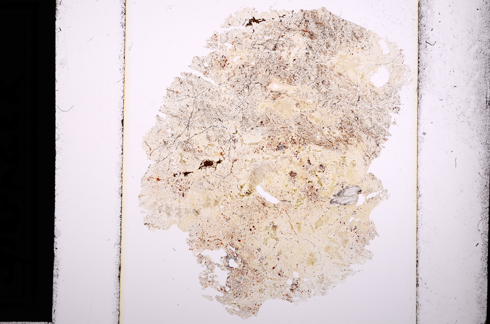 Plane Polarized, E13625