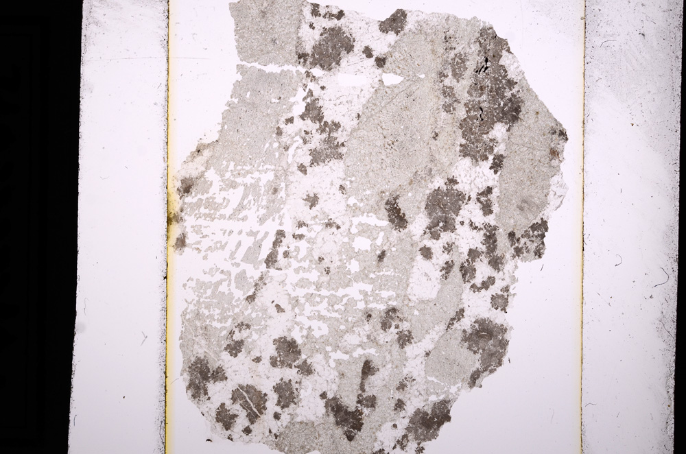 Plane Polarized, E13638