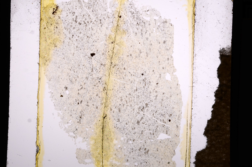 Plane Polarized, E13639