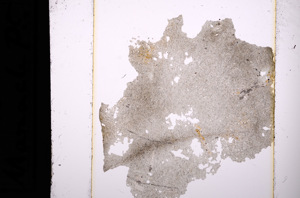 Plane Polarized, E13642