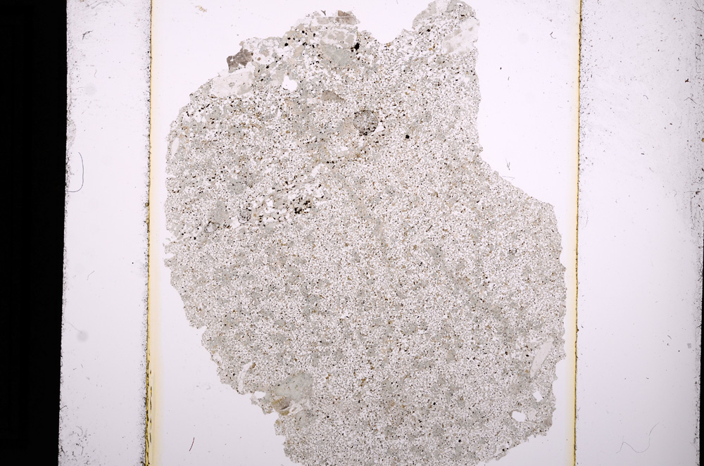 Plane Polarized, E13647