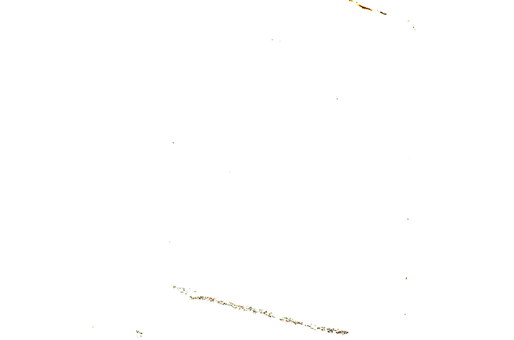Plane Polarized, E13656
