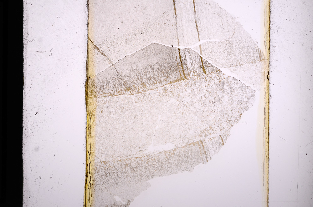 Plane Polarized, E13708