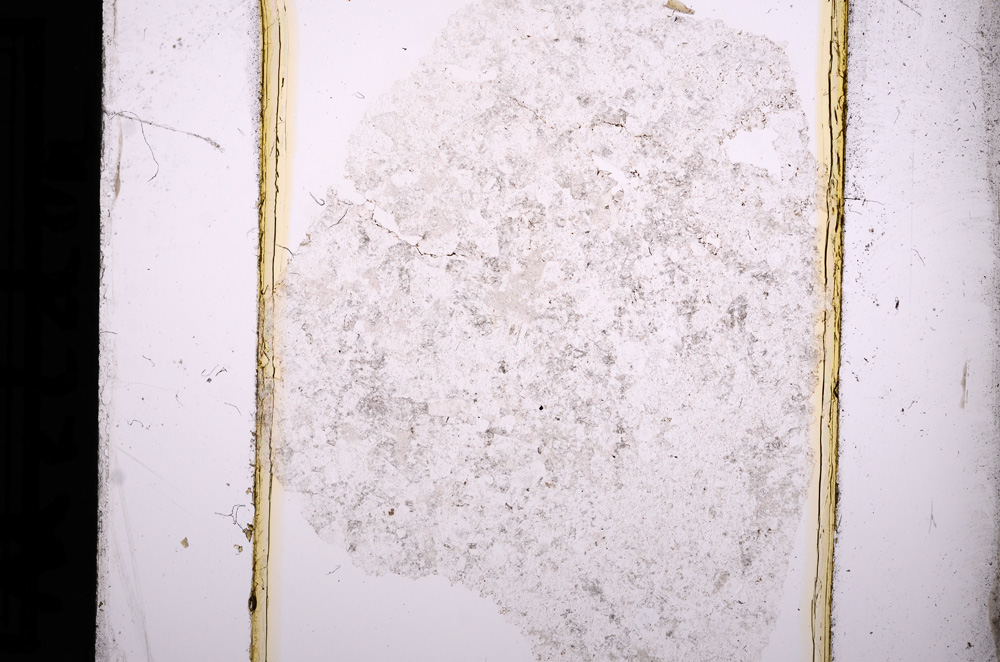 Plane Polarized, E13709