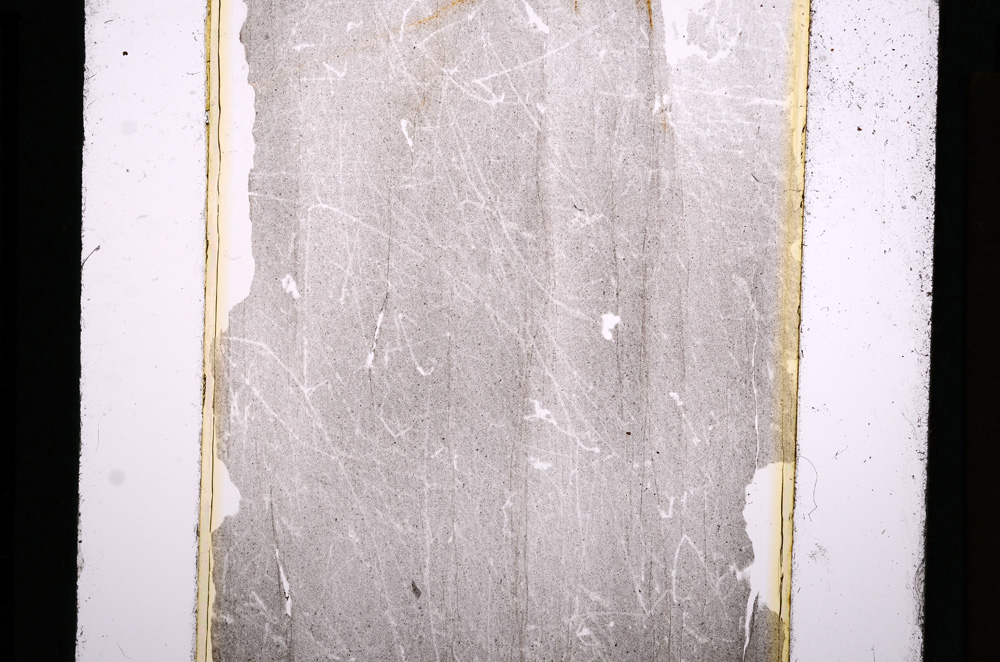Plane Polarized, E13727