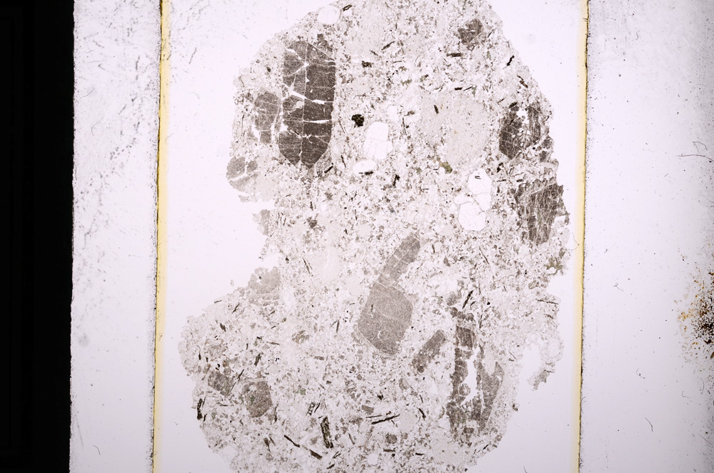 Plane Polarized, E13728
