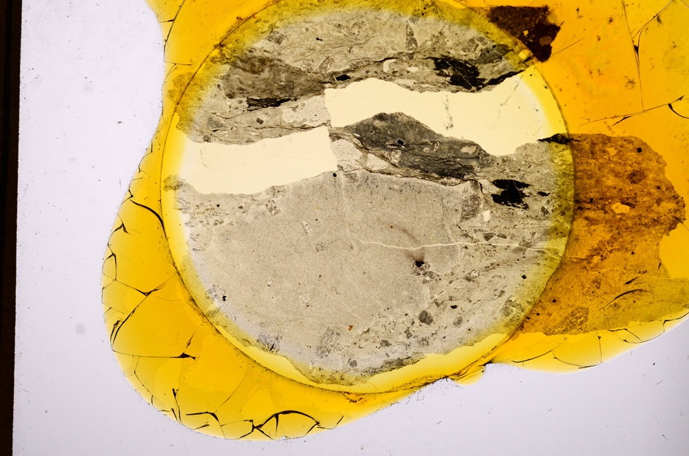 Plane Polarized, E13743/A