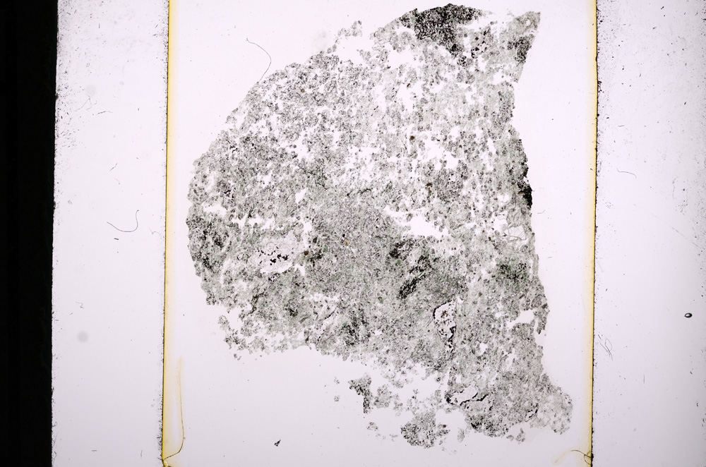 Plane Polarized, E13780