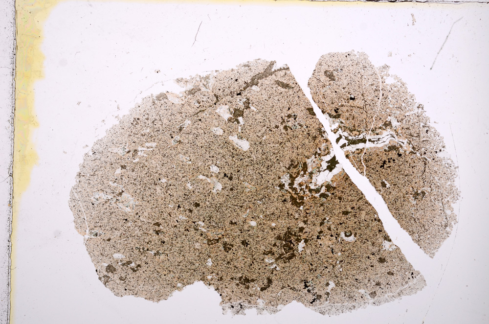 Plane Polarized, E13838