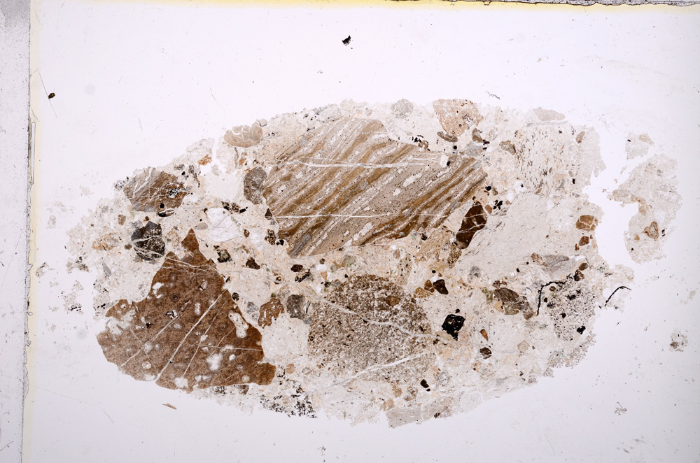 Plane Polarized, E13842