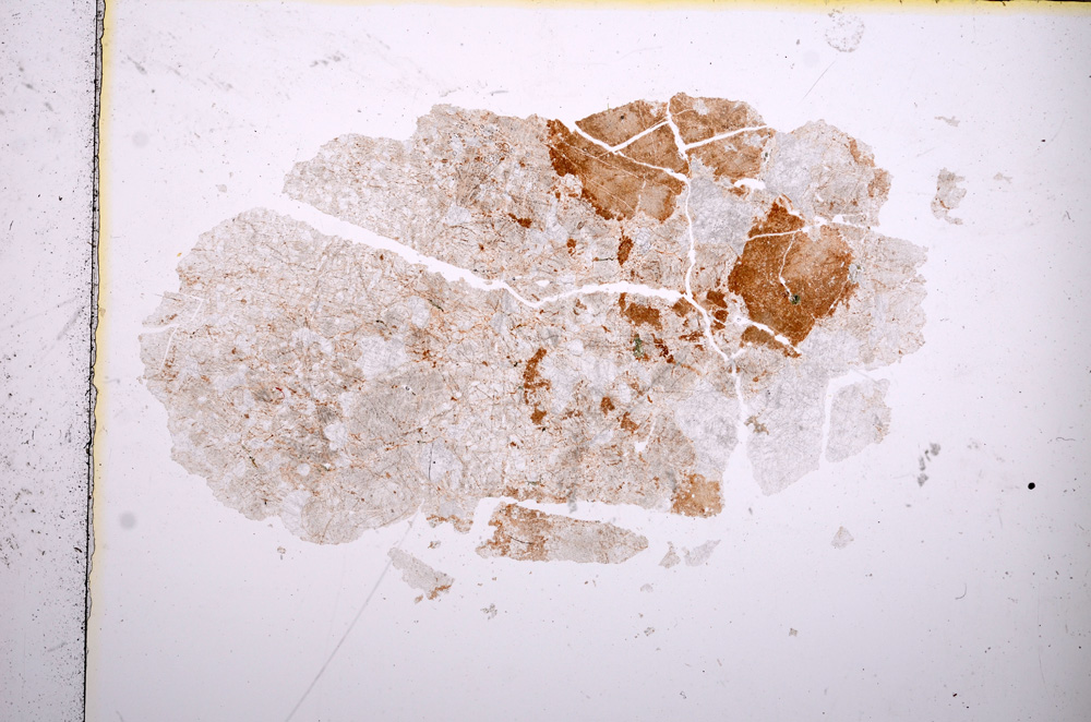 Plane Polarized, E13847